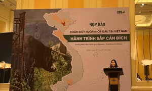 Bà Bùi Thị Hà, Phó Giám đốc ENV phát biểu.