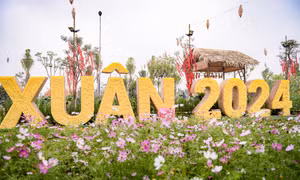 Đường hoa Home Hanoi Xuan 2024 rực sắc trước giờ khai mạc