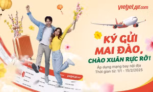 Đón xuân rực rỡ với dịch vụ vận chuyển mai, đào Tết 2025 cùng Vietjet.
