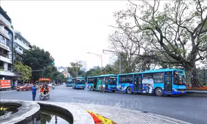 Hà Nội: Đề xuất bổ sung, hoàn thiện mạng lưới điểm dừng xe buýt