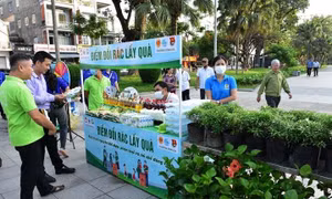 Chương trình hành động trong khuôn khổ dự án tại các địa phương.