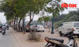 Dọc đường Tam Trinh (quận Hoàng Mai), vỉa hè dành cho người đi bộ dọc hai bên bờ sông Kim Ngưu thường xuyên bị chủ xe ô tô các loại chiếm dụng đỗ xe cả ngày lẫn đêm.