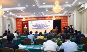 Khóa bồi dưỡng.
