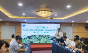 Hội thảo “Xây dựng chỉ số môi trường rừng và CO₂ rừng”.