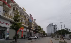 Thị trường BĐS trầm lắng do các doanh nghiệp thiếu dòng tiền tái đầu tư. 