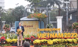  'Ngày tìm hiểu văn hoá Việt Nam năm 2022' tại Home Hanoi Xuan