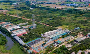 Diện tích đất nông nghiệp tại huyện Hoài Đức, Hà Nội.