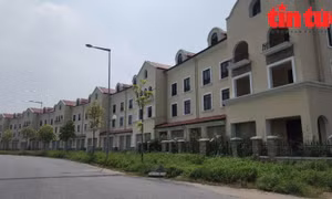 Thị trường bất động sản các khu vực trung tâm còn nhiều dư địa tăng trưởng trong dài hạn.