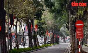 Tâm lý người mua bất động sản chú trọng không gian sống xanh