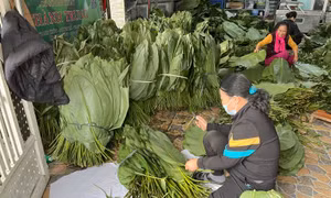 Làng bánh chưng Tranh Khúc rộn rã những ngày giáp Tết