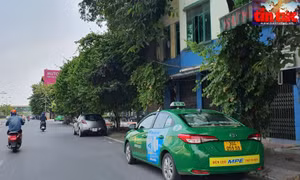 Taxi Mai Linh, G7 Taxi và Taxi Group dự phòng 100 - 150 hỗ trợ Hà Nội chống dịch.
