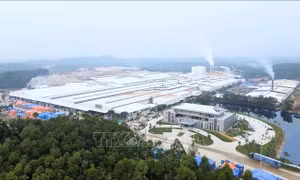 Bất động sản công nghiệp tiếp tục là điểm sáng của thị trường