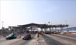 Tổng cục Đường bộ Việt Nam yêu cầu xử lý nghiêm xe ô tô đi sai làn thu phí không dừng