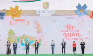 Khai mạc đường hoa xuân lớn nhất phía Tây Hà Nội - Home Hanoi Xuan 2024 tại Mailand Hanoi City