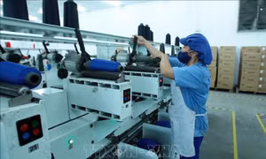 Chống dịch như chống giặc, nhưng không để ảnh hưởng đến sản xuất kinh doanh