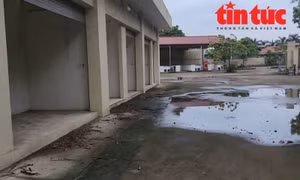 Các kios mặt tiền quay ra ngoài sân chợ bỏ hoang, rêu phong, thành điểm tập kết rác thải.
