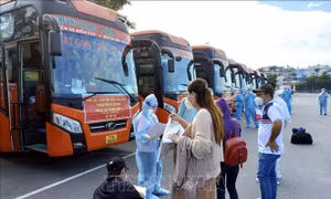 Lập đoàn kiểm tra vận tải dịp Tết và lễ hội xuân 2023
