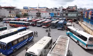 Hải Phòng siết chặt việc kiểm tra, xử lý xe ghép, xe tiện chuyến