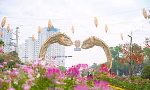 Những 'mảnh ghép' mùa xuân đang nở rộ tại Home Hanoi Xuan 2025