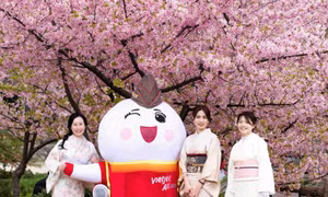 Cùng Vietjet hòa mình vào sắc màu văn hóa Việt Nam tại Nagoya