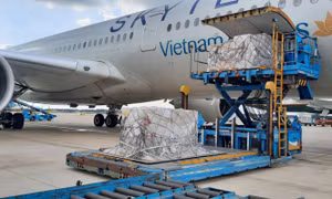 Hơn 203.000 bộ xét nghiệm nhanh COVID-19 đã về đến TP Hồ Chí Minh.