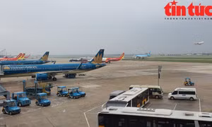 Ngành Hàng không đề xuất Bộ Giao thông vận tải giải pháp thó gỡ khó khăn.