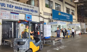 Hàng không miễn cước vaccine cho Chương trình Tiêm chủng mở rộng Quốc gia