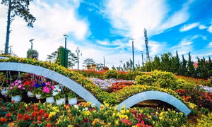 Lễ hội Festival hoa Đà Lạt.