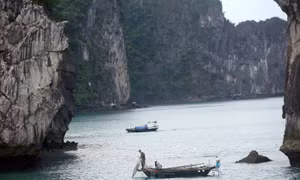 Du lịch Việt Nam: Khám phá vịnh Hạ Long qua du thuyền