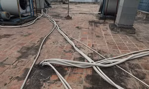 Chủ đầu tư Tòa nhà A14 Khu đô thị tái định cư Nam Trung Yên có 'phớt lờ' bảo hành?