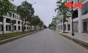 Thị trường bất động sản chuyển nhượng chưa bao giờ "đóng băng".