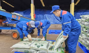 Thuế VAT với phân bón: Doanh nghiệp cần chia sẻ lợi ích cùng nông dân