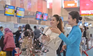 Hàng không Việt Nam tăng thêm hơn 650.000 chỗ Tết Ất Tỵ 2025.