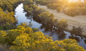 Thưởng thức rượu vang hảo hạng tại thung lũng Swan, Tây Australia
