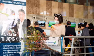 Bamboo Airways triển khai vận chuyển đào, mai dịp Tết Nhâm Dần 2022