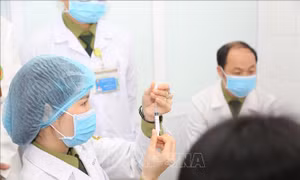 Tin nổi bật tuần từ 21 - 27/12