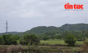 Hệ thống đường điện cao thế đầu tuyến cao tốc Chí Thạnh - Vân Phong chưa được di dời phục vụ thi công.