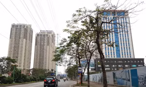 Doanh nghiệp bất động sản vẫn được kỳ vọng trong năm 2025.