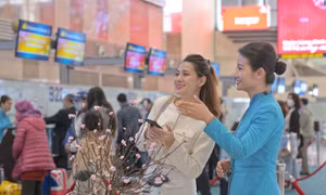 Vietnam Airlines mang đào, mai về nhà cho hành khách.