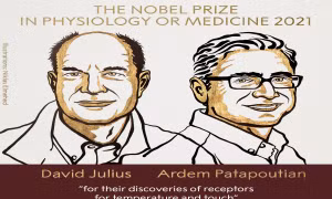 Giải Nobel Y học năm 2021 vinh danh hai nhà khoa học người Mỹ David Julius và Ardem Patapoutian