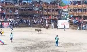 Video khán đài sân vận động đấu bò tại Colombia đổ sập khiến trên 500 người thương vong