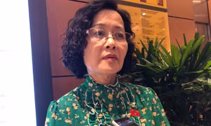 Đại biểu Quốc hội: Cần đánh giá thực chất, động viên tinh thần người lao động 