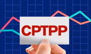 Trung Quốc chính thức đệ đơn xin gia nhập Hiệp định Đối tác Toàn diện và Tiến bộ xuyên Thái Bình Dương 