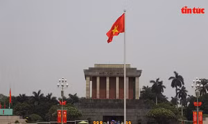 136 năm Ngày sinh Chủ tịch Hồ Chí Minh: Phụng sự Tổ quốc, nhân dân từ những việc làm bình dị