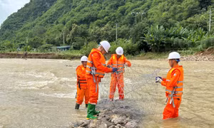 Công ty Điện lực Sơn La tập trung khắc phục sự cố điện do mưa bão