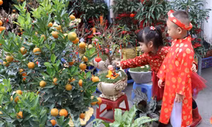  Chợ hoa Tết phố cổ Hà Nội họp 1 lần trong năm