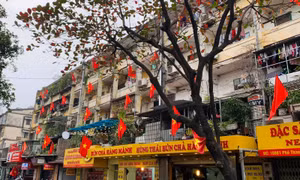 Ngõ, phố Thủ đô thắm sắc cờ chào mừng Đại hội lần thứ XIII của Đảng