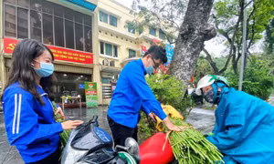 Tuổi trẻ Thủ đô tiếp tục giúp giải cứu hoa màu cho Hải Dương 