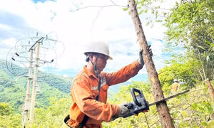 Công ty Điện lực Sơn La chủ động ứng phó với cơn bão số 9