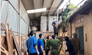 Phát huy vai trò nòng cốt của thanh niên trong xóa nhà tạm